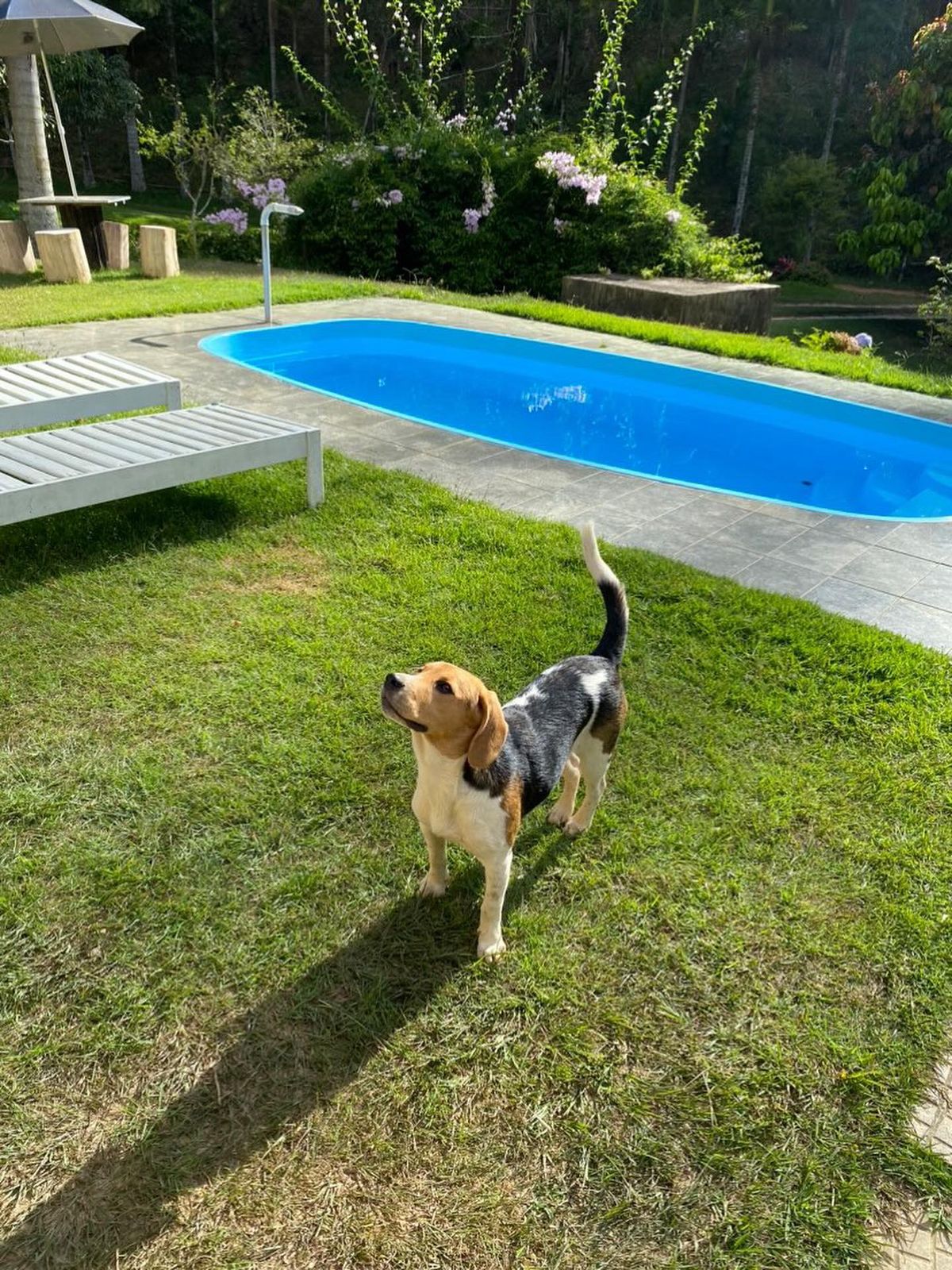 Sítio das Bromélias 2